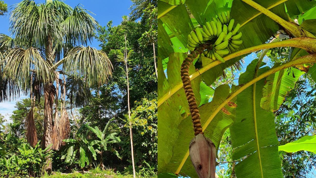 Amaca Eco Station * Iquitos